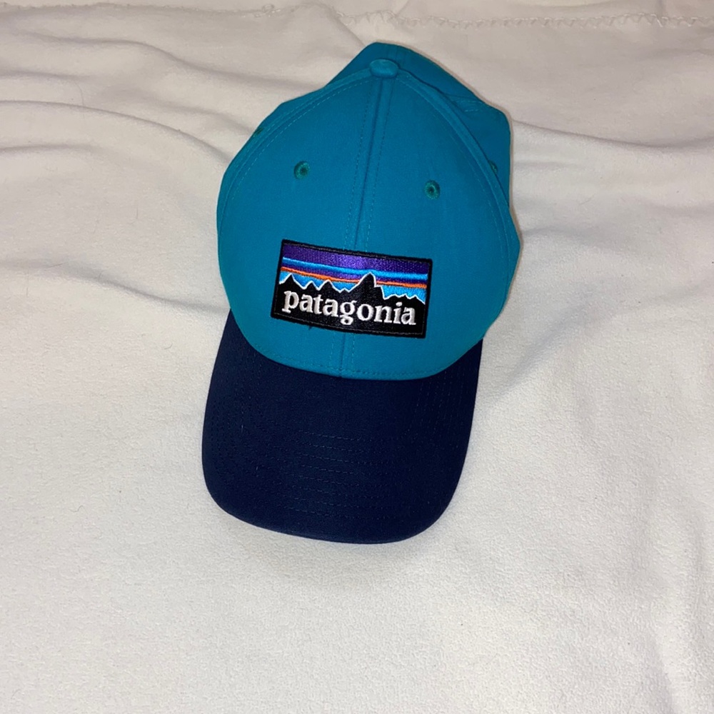 Patagonia fitted hat size S/M